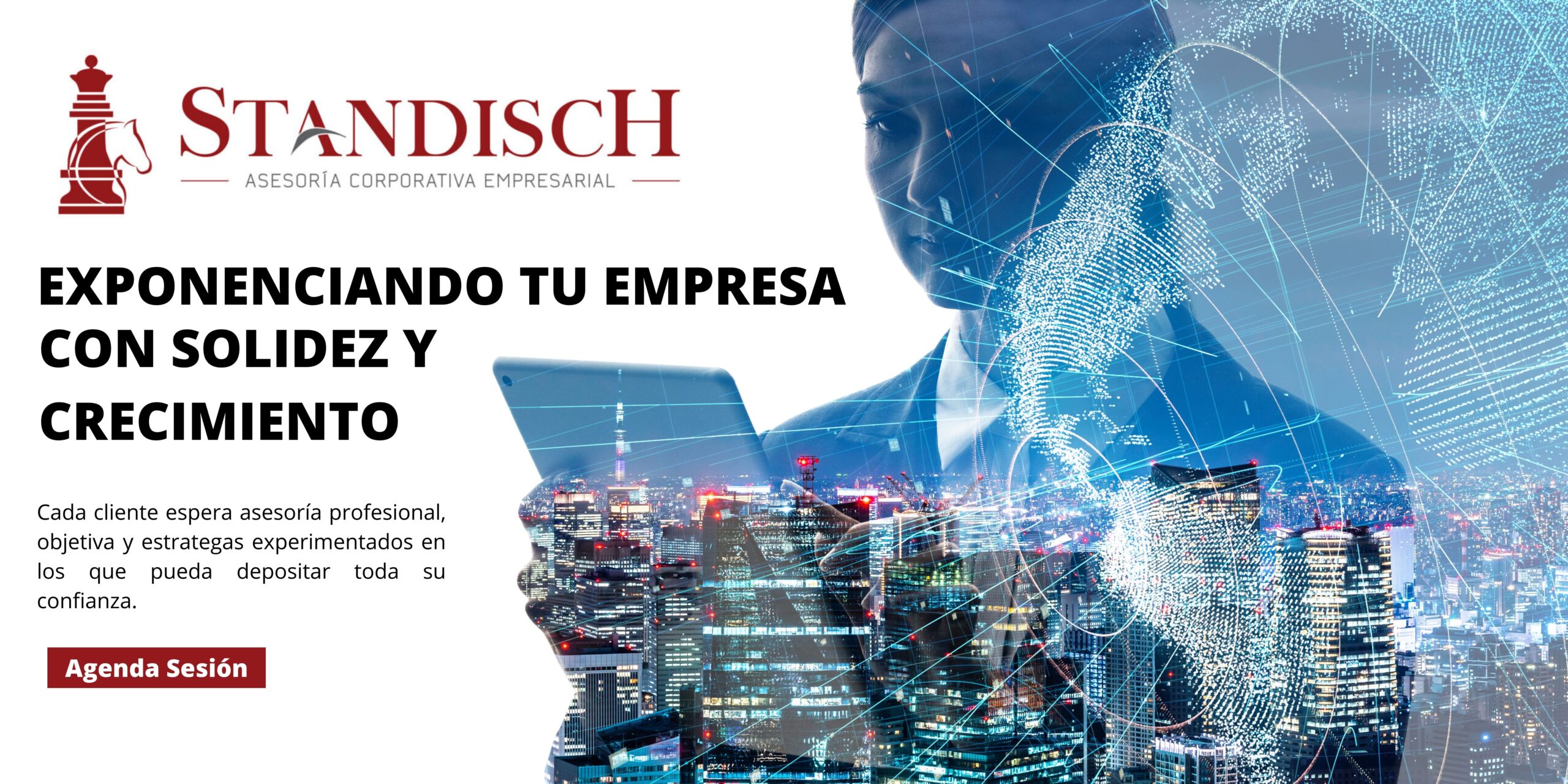 Standisch Consultores